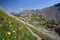 The Southern side of Izoard pass with the dramatic landscape called Casse deserte a lunar and rocky circus