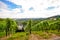 Southern Styria Austria - Grape vines: Tractor in steep vineyard