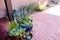 Southwest Adobe Homeand brick porch in New Mexico