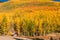 Southwest Colorado Fall Landscape