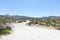 Southwest desert landscape with winding road with desert plants in springtime, camping, hiking and adventure in spring
