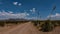 Southwest New Mexico`s Cooke`s peak Range.