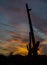 Southwestern desert sunset saguaro cactus shadows