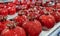 Souvenir red ceramic pomegranates for sale
