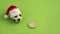 A souvenir soccer ball in a red Santa Claus hat next to a one euro coin on a green background. Copy space. Concept sports betting