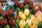 the Souvenirs at Bloemenmarkt - floating flower market on Singel Canal. Amsterdam. Netherlands