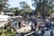 Sovereign Hill Gold Panning