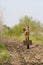 Soviet female soldier with suitcase and in uniform of World War II stands on a plowed road