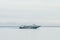Soviet hydrofoil boat goes by Baikal lake