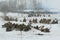 Soviet infantry before the attack. Reconstruction of the battles of the Great Patriotic War to lift the blockade from Leningrad