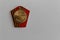 Soviet medal Georgy Zhukov celebrating the victory Second World War - back side