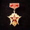 Soviet ussr medal rare badge veteran