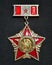 Soviet ussr medal rare badge veteran