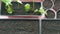 Sow seeds in pots with soil for growing plants. Seedlings of flowers and vegetables on the windowsill in the spring. Dacha season