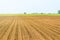 Sowed field. Agricultural fields in spring. Sowing crops.