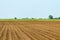 Sowed field. Agricultural fields in spring. Sowing crops.