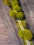 Sown potatoe field aerial