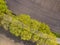 Sown potatoe field aerial