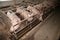 Sows in stable at an industrial animal farm