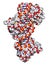 Sox2 (HMG domain) and Oct-1 (POU domain) transcription factors, bound to DNA. 3D rendering based on protein data bank entry 1gt0