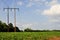 Soy Bean Field