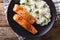 Soy-Honey Glazed salmon and camolino rice close-up. horizontal t