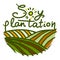 Soy plantation icon, hand drawn style