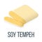 Soy Tempeh. Healthy Food Style, Concept Icon and Label. Natural Probiotics Symbol, Icon and Badge. Cartoon Vector illustration