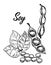 Soya sketch. Detailed hand drawn vector black and white illustration of green soybeans