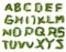 Soybean Alphabet