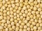 Soybean Background