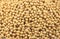 Soybean Background