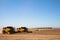 Soybean crop being harvested by combines.