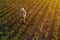 Soybean farmer with drone remote controller in field