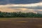 Soybean field late in the afternoon