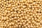 Soybean legume. Closeup of grains, background use.