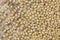 Soybean seed background and textured