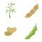 Soybean soy beans seed icons set flat style