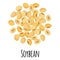 Soybean for template farmer market design, label and packing. Natural energy protein organic super food