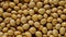 Soybeans Background. Rotation.Vegetable source of protein. Soybean close-up.