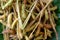 soybeans serve in bamboo woven plate