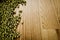 Soybeans on wooden background