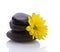 Spa accessories - stones and flower