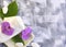 Spa aromatherapy concept with towel, massage pebbles and orchid flowers. Tropical resort or herbal medicine still life flatlay.