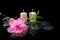 spa background of delicate pink hibiscus, green tendril passionflower, candles and zen stones with drops in reflection