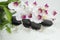 Spa Background - orchids black stones and bamboo on water