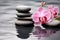 Spa background with pink orchids and pebbles in a water pond, AI generated