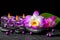 spa background of purple orchid dendrobium, green leaf Calla lily and candles on black zen stones with drops, closeup