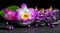 spa background of purple orchid dendrobium, green leaf Calla lily and candles on black zen stones with drops, panorama