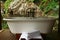 Spa bathtub Seychelles